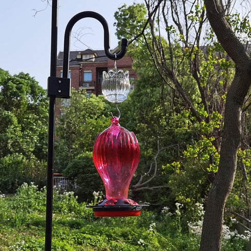 Glass Ant Moat for Hummingbird Feeder - 3 OZ Clear Tulip Insect Guard with Large Capacity...
