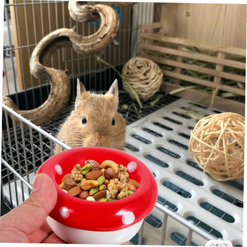 Hamster Ceramic Bowl Mushroom Food Hamster Feeder Chinchilla Bowl Hamster Water Guinea Pig Bowl Water Dish Rat Feeding Bowl Rat Bowl Hamster Bowl ...