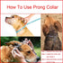 Prong Collar for Dogs, Dog Prong Collar, Pinch Collar for Dogs, Dog Training Collar, Large Medium and Small Dogs, Stainless Steel Adjustable with ...