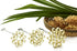 DOK JOK Brass Thai Flower Cookies Mold for Stylist Sunflower Crispy Biscuit Difference Size (8 cm)...