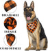 Dog Bandana, Big Brother Dog Bandana, Dog Scarf Plaid Printing, Dog Scarf Accessories, Dog Bandana Pet Scarf, Pet Plaid Scarf Gender Reveal Access...
