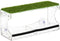 Navaris Clear Bird Feeder with Suction Cups - Window Bird Feeder for Bird Watching - Acrylic Feeder for Birds with Window Suction Cups and Grass -...