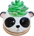 Succulent Pots,Cute Animal Panda Shaped Cartoon Ceramic Succulent Cactus Flower Planters with Bamboo Tray -Plant Not Included (4.13 Inch)...