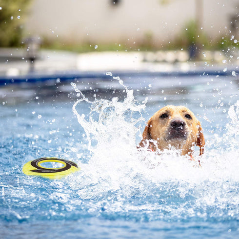 SKIPDAWG Interactive Dog Tug Toy, Dog Flying Disc Dog Water Toy Non-Toxic Light TPR/Nylon Fabric, Pet Training Toys/Outdoor Exercise Toys for Dogs...