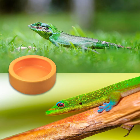 2 Pack Worm Dish Reptile Food Bowl Bearded Dragon Ceramic Bowl with Feeding Tongs (Yellow-Medium)...