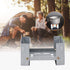 Portable Solid Fuel Stove, Folding Solid Alcohol Stove for Camping, Lightweight Small Heat Stove Solid Fuel Tablets Fire Dragon Stove Outdoor Army...