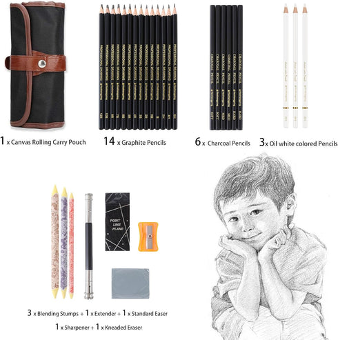 31 Drawing Sketching Pencils Kit, Portable Artist Supples Travel Case Set has Graphite, Charcoal, white color pencil, Blending Stump, gift for Adu...