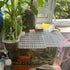 8PCS Fish Tank Dividers Lid, Aquarium Grid Bottom Isolation Tray Board, Plastic Egg Crate...