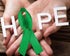 400 Pieces Mental Health Awareness Ribbon Green Satin Ribbon Lapel Pins Fabric Ribbons with Safety Pins for Women Men...