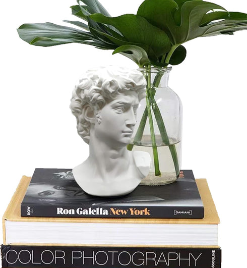Greek Statue of David - Head Bust for Mythology and Roman Home Decor...