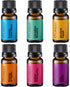 Scent of Adventure Essential Oils Set 6 Aromatherapy Diffuser Blends for Home Office Humidifier Car Fresheners Premium Grade Relaxation Scented Oi...