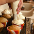 Tamodan Piping Bags 100PCS & 16 Inches Tipless Piping Bags, Extra Thick Pastry Bags Disposable, Non-Slip Icing Piping Bags Disposable Design, Cake...