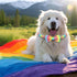 Heart Dog Collar with Colorful Bow Tie, Pride Pet Collar Adjustable Cotton Collar Valentines Gifts for Small Medium Large Boys Girls Dogs, M...