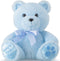 10 Inch Bear Stuffed Animal First Bear Baby Shower Bear Plush Toy for Wedding Birthday Baby Shower Party Favor Gift(Blue)...