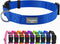 Blue Dog Collar Basic Adjustable Dog Collars for Puppy Small Medium Large Dogs Girls with Breathable Quick Release Nylon Pet Collar...