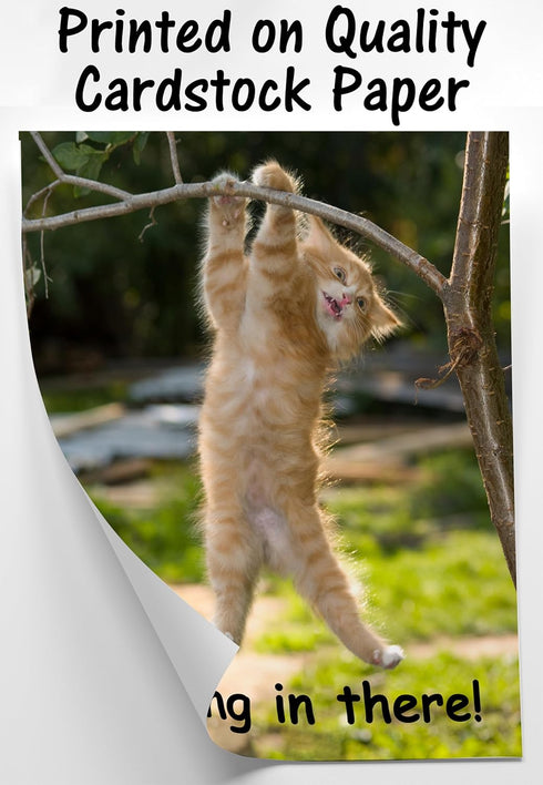 Hang in There Cat Poster - Printed on Premium Cardstock Paper - Sized 11 x 14 Inch - Perfect Funny Motivational Poster For Home or Office - Humoro...