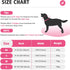 Cute Dog Collar with Bow for Small Medium Large Dogs, Bling Medium Dog Bow Tie Collar with Durable Metal Buckle, Easy Adjustable for Dogs Walking ...