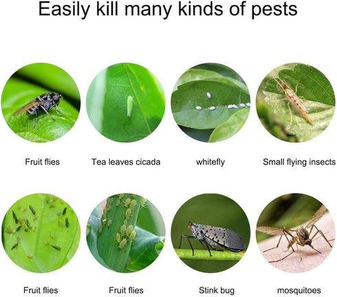 Faicuk Yellow Dual-Sided Sticky Fly Traps for Plant Insect Like Aphids, Fungus Gnats, Leaf Miners and White Flies (10 Pack)...