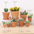 Yishang 2 Inch mini Terracotta Clay Pots Pack of 9 - small Hand Craft Nursery Plant Pot Succulent Cactus DIY Pottery Planter Home Garden Windowsil...