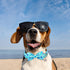 Dog Collar with Bow Tie, Comfortable Cotton Summer Dog Bowtie Collar, Durable Metal Buckle Cute Pet Collar for Medium Girl Boy Dog, M, Neck 13.5-2...