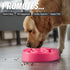 Tilted Slow Feeder Dog Bowl for Flat Face Breeds, Retro Style Non-Skid Food Bowl for Flat Face Breeds for Dogs & Cats Large, Small (Pink)...