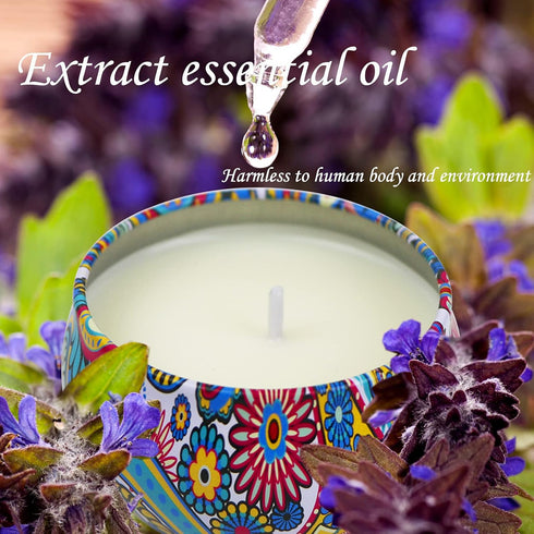 2 Pack Scented Candles, 2.5 oz Aromatherapy Candles for Home Scented, Natural Soy Candles with Floral Scents, Portable Small Jar Candle Set for Tr...