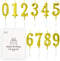 Beanlieve 10-Pieces Numeral Birthday Candles - Cake Numeral Candles Number 0-9 Glitter Cake Topper Decoration for Birthday,Wedding Anniversary,Par...