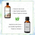 3.38FL.OZ Coconut & Vanilla Fragrance Oils for Aromatherapy, Essential Oils for Diffusers for Home, Perfect for Diffuser, Yoga, DIY Candle and Soa...