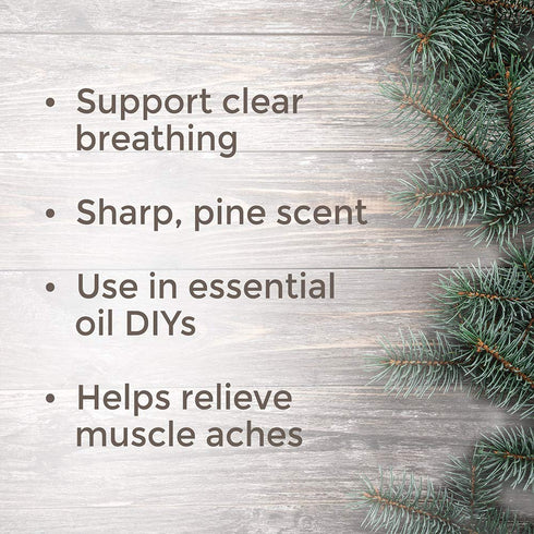 Plant Therapy Fir Needle Essential Oil 30 mL (1 oz) 100% Pure, Undiluted, Therapeutic Grade...