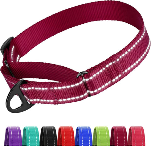 CollarDirect Reflective Martingale Dog Collar Nylon Heavy Duty Training Pet Collars for Small Medium Large Dogs Puppy Black Blue Mint Green Red Pi...