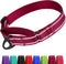 CollarDirect Reflective Martingale Dog Collar Nylon Heavy Duty Training Pet Collars for Small Medium Large Dogs Puppy Black Blue Mint Green Red Pi...