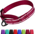 CollarDirect Reflective Martingale Dog Collar Nylon Heavy Duty Training Pet Collars for Small Medium Large Dogs Puppy Black Blue Mint Green Red Pi...