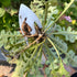Weed Puller with M-Shape Claw Weeding Artifact Uprooting Weeding Tool Dandelion Puller Tool Gardening Hand Weeder Tool Weed Remover Tool for Yard ...
