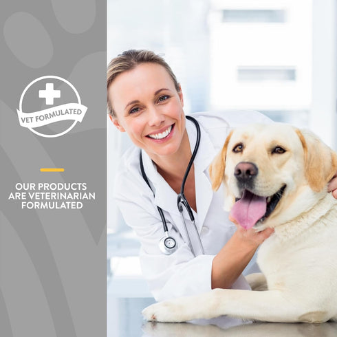 NaturVet Senior Advanced 5-in-1 Support Dog Supplement – Helps Support Immune System, Heart, Liver, Cognitive Function, Eye Health – Includes Gink...