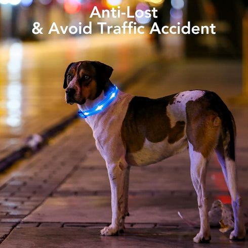 Light Up Dog Collars - Rechargeable LED Dog Collar - Reflective Dog Camping Gear Puppy Collars - Adjustable Dog Glow Collar - Christmas Dog Lights...