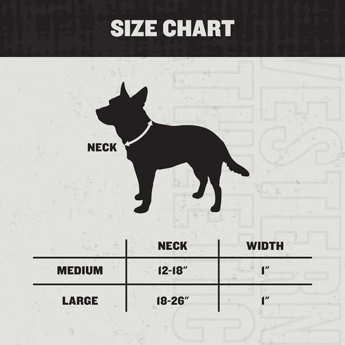 Hooey Nomad Dog Collar, Durable Polyester Webbing Collar with Graphic-Inspired Prints, Serape Tijana, Medium...