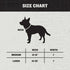 Hooey Nomad Dog Collar, Durable Polyester Webbing Collar with Graphic-Inspired Prints, Serape Tijana, Medium...