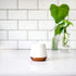 Fellow Joey Double Wall Ceramic Coffee Mug - Refined and Sophisticated, Matte White, Single 8 oz Cup...