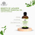 Japanese Peppermint (Mentha arvensis) Essential Oil with Premium Dropper - Therapeutic Grade, 100% Pure, Natural Oil for Aromatherapy, Diffusers, ...