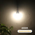 Dusk to Dawn Light Bulbs 4000K Cool White (Neutral White), 850LM, 60W Equivalent, LED 9.5W, A19, E26 Base, 2-Pack, HQ-H013...
