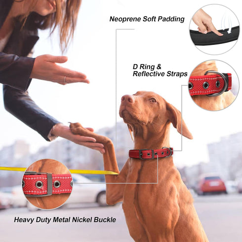 PetiFine Neoprene Padded Dog Collar, Heavy Duty Comfort Dog Collar with Durable Metal Buckle, Reflective Adjustable Belt Buckle Dog Collars for Sm...