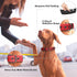 PetiFine Dog Collar with Metal Buckle, Heavy Duty Dog Collar with Soft Neoprene Padded, Adjustable Reflective Nylon Dog Collars for Small Medium L...