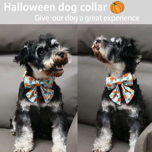 ARING PET Halloween Dog Collar Cotton Cute Pumpkin Dog Collar, Adjustable Blue Pumpkin Pet Collars Boy Puppy Collars with Metal Buckle...