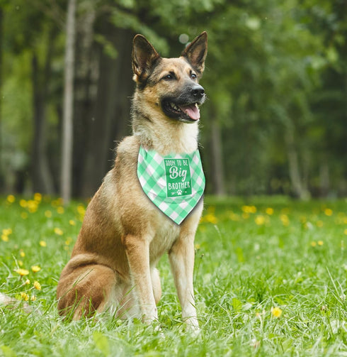 Dog Bandana, Soon to Big Brother Dog Bandana, Dog Scarf Classical Plaid Printing, Dog Scarf Accessories, Dog Bandana Pet Scarf, Pet Plaid Scarf Ge...