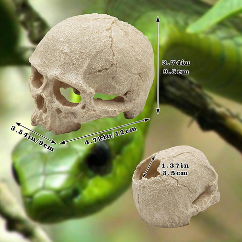 Snake Hideout, Reptile Aquarium Skull Decor, Resin Skeleton Head Fish Hide, Tank Terrarium Accessories, Reptile Hides and Caves for Fish Bearded D...