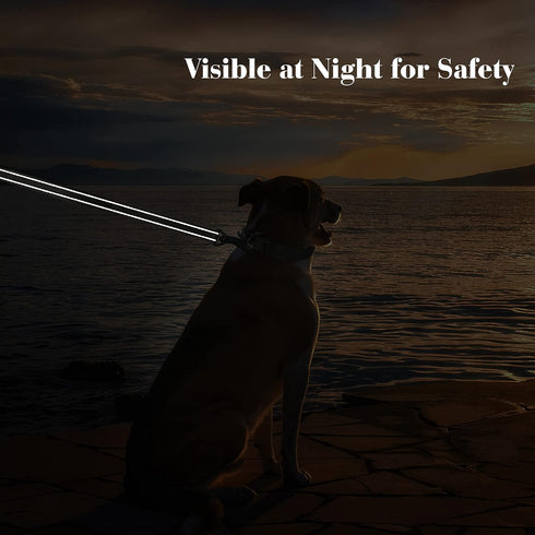 PetiFine 4FT Heavy Duty Dog Leash with Soft Padded Double Handle, Durable Strong Clasp Dog Leashes, Reflective Nylon Walking Lead for Large,Medium...