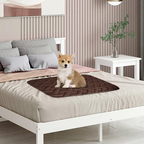 Dog Bed Cover for Pets - Blankets Rug Pads for Couch Protection Waterproof Bed Covers Dog Blanket Furniture Protector Reusable Changing Pad (Dark ...