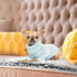 PJYuCien Dog Cat Blanket, Fleece Soft Pet Throw Blanket for Small Dogs & Cats (24" x 32")...