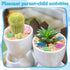 Zhanmai 48 Pieces Water Growing Dinosaurs Party Favors Expandable Dinosaurs Toy Water Animals Toys Aquatic Dinosaur Toy Set Colorful Expanding Din...