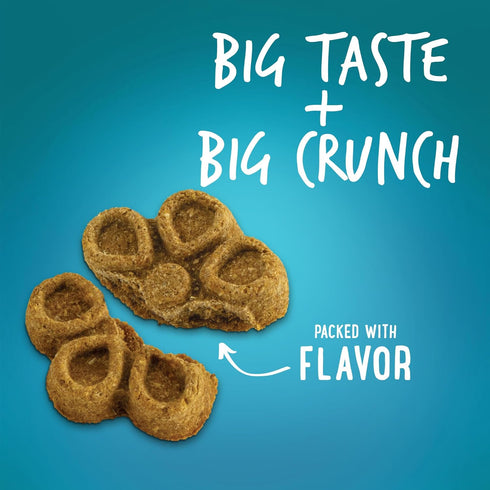 Fruitables Biggies Dog Biscuits – Crunchy Dog Biscuits Made with Pumpkin – Healthy Dog Treats Packed with Real Fruit Flavor – Free of Wheat, Corn ...